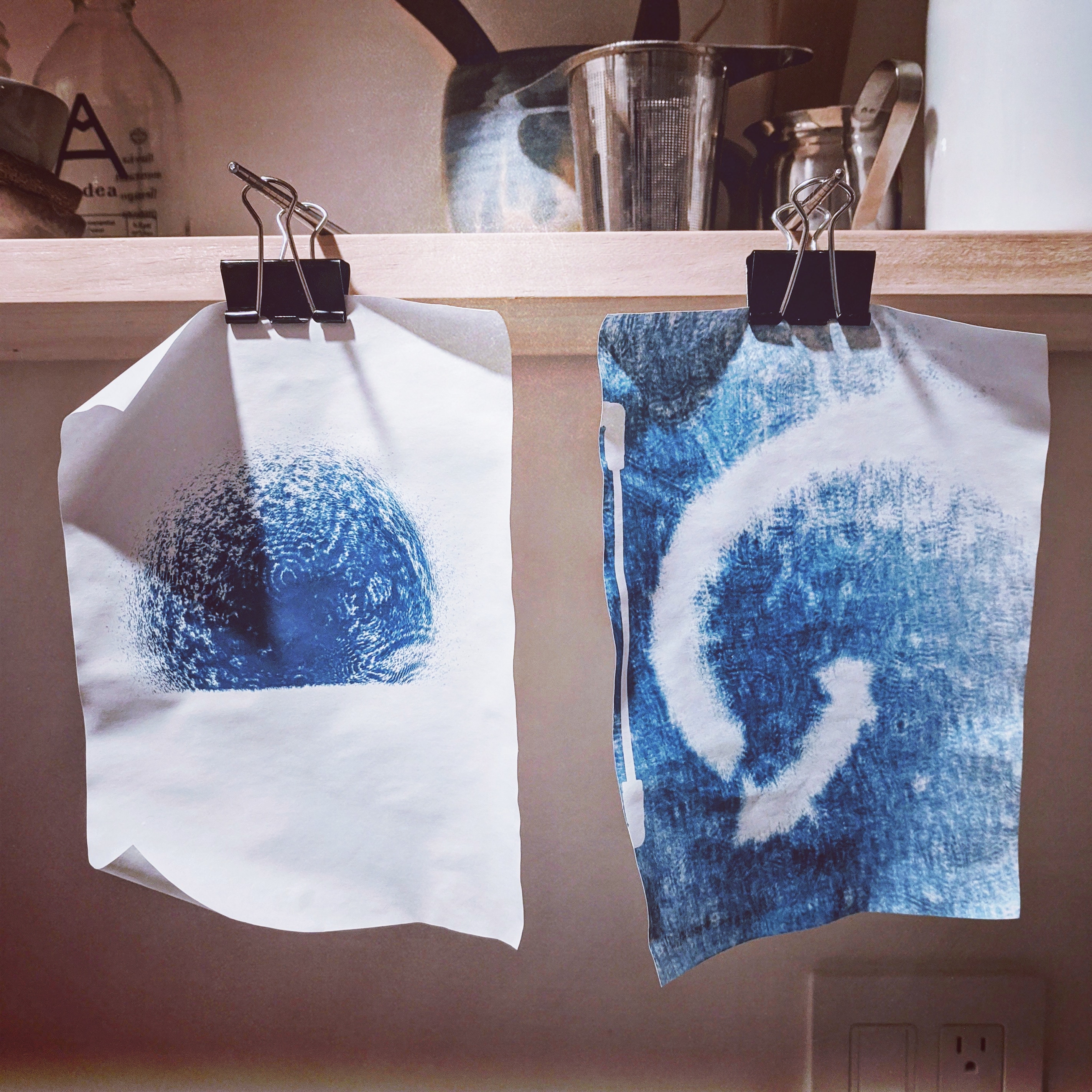 two cyanotype prints hanging from a shelf, showing microscopic images, including one of a millipede